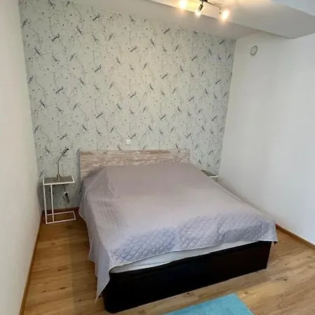 Daire Im Herzen Der Herzogstadt