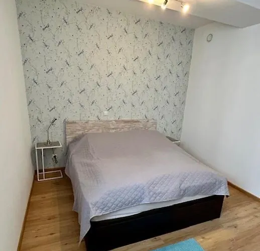 Appartement Im Herzen Der Herzogstadt